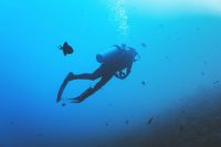 Diving club  