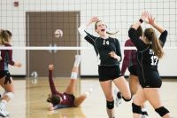 Volleyball  sport,team,adolescent