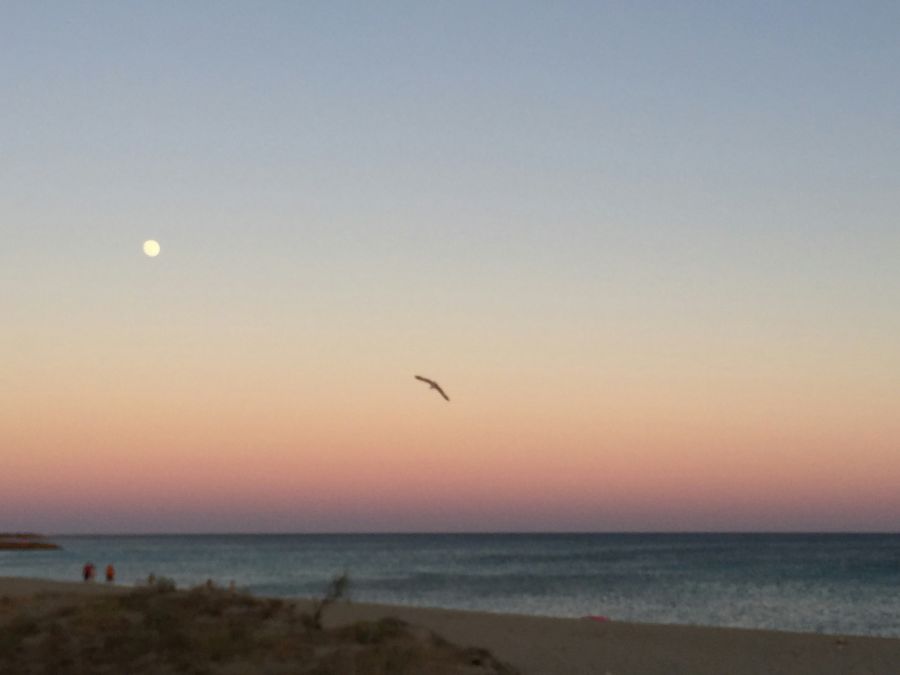 Dansunsplash le Mare al tramonto italia,le,italia landscape