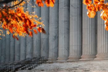 trial court  