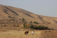 Muslim cemetery  kyrgyzstan,field,horse