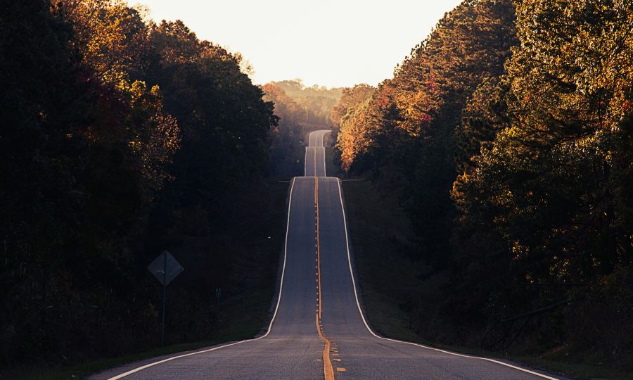 Journey Highway 212 forest road