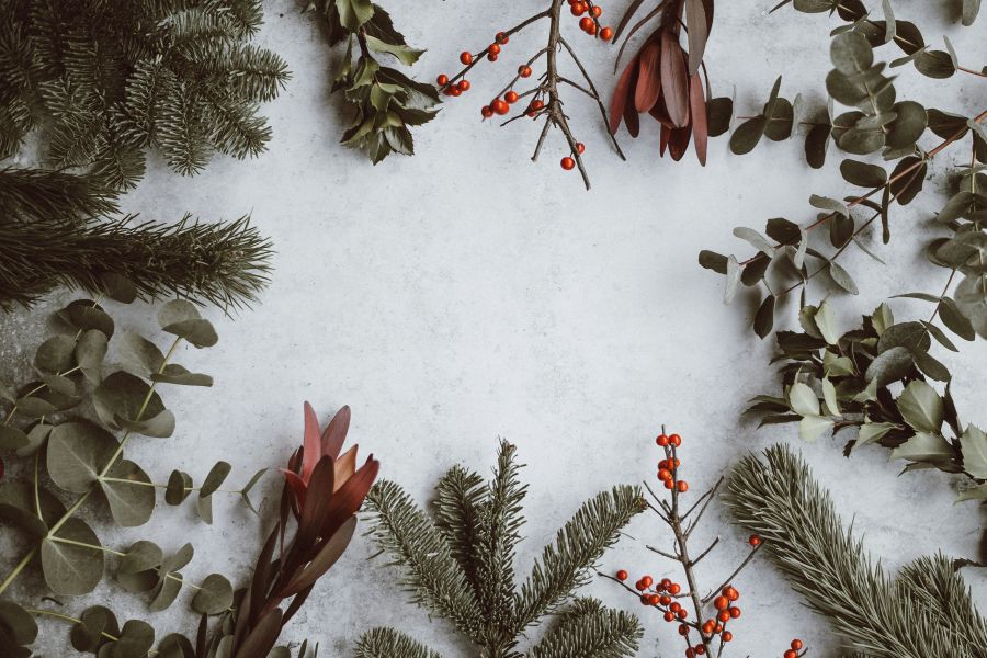 Christmas Christmas background - pine, eucalyptus, berries 