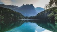 Nature photography Mountain near Piburger See 