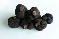 Truffle Sharing my two passion in one piece - Photography & Fine Food 