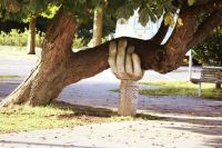 Support When you need that helping hand! sculpture,park,bench