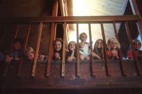 Holocaust Children Children Sitting on a Staircase. Seven children peeking through a bannister railing on a staircase. They are members of a Mormon family who are presently being studied for their low cancer death rate. Pediatric, childhood, AYA. Photographer Linda Bartlett mormon,children,cancer