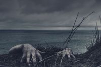 Cruelty Horror Climbing up from ocean curse,death,undead