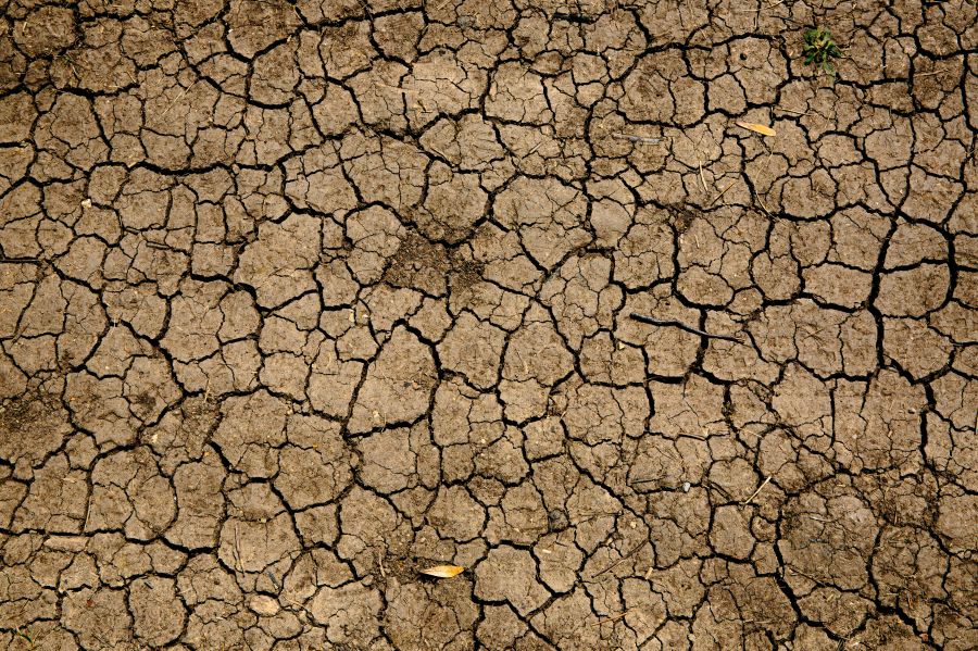 Drought nature  