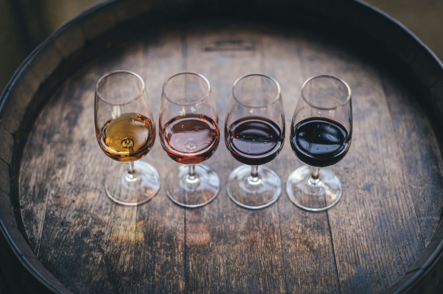 Wine competition Four Shades of Vine.  

More photos to buy: http://bit.ly/2mfsD15 