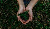 environment The Earth and I 