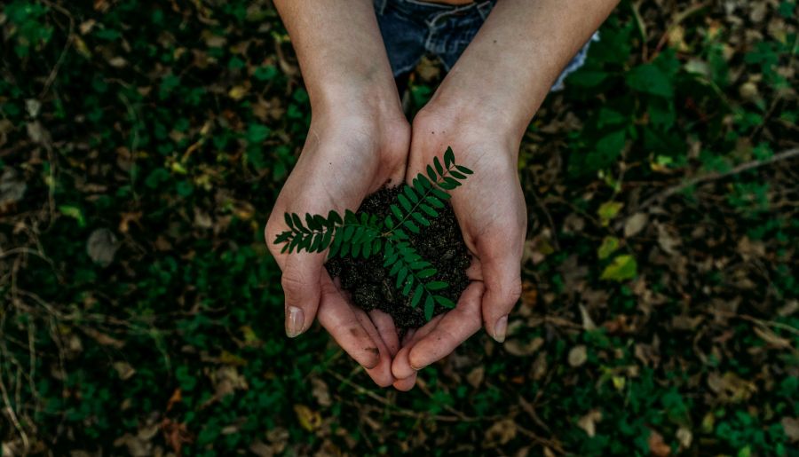 environment The Earth and I 