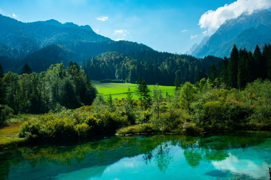 Vercors nature  