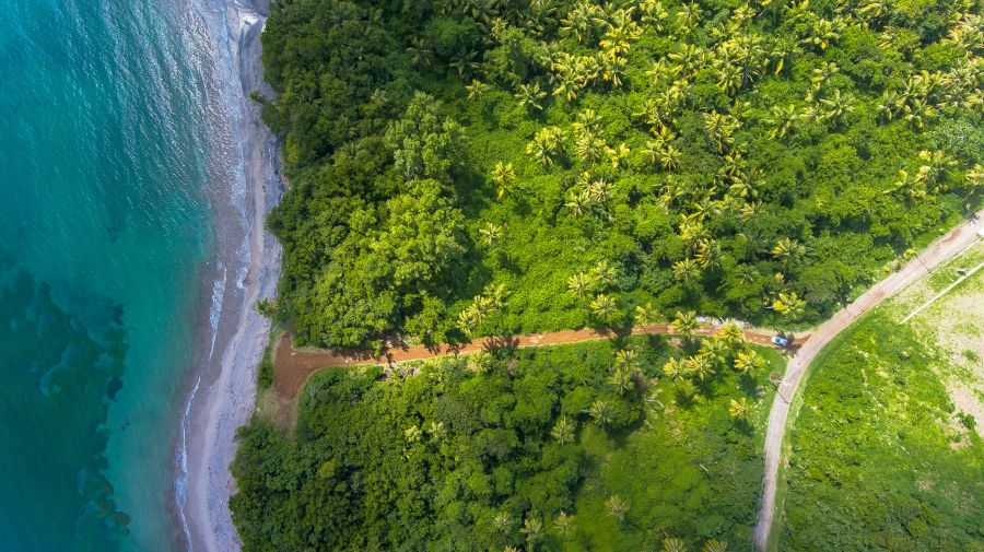 Sustainable development Green Day | Country Side, Grenada 