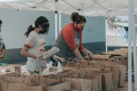 Volunteers  volunteer,stock photography,food bags