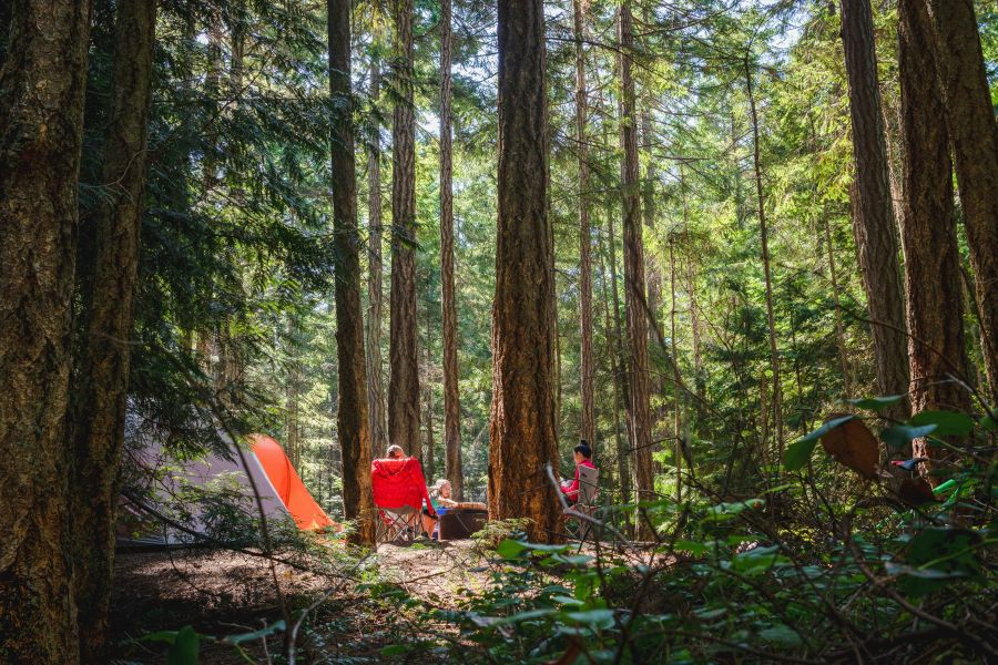 Camping Nature Camping family relaxing in the sun amongst the forest 