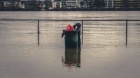 Flooding High A high tide / Hochwasser in Bonn, Germany. The Rhine is at ~9 metres. flooding,bonn,deutschland