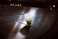 Tribute Emotion 9/11 Memorial // Roses don’t take away the pain 