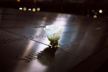 Tribute Emotion 9/11 Memorial // Roses don’t take away the pain