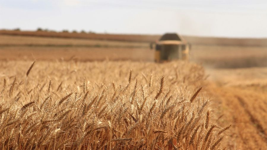 Farming Agriculture Harvesting the Wheat Crop farming,agriculture,brown