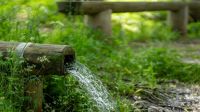 Water sources  
