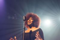 Concert singer  