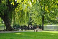 Park  