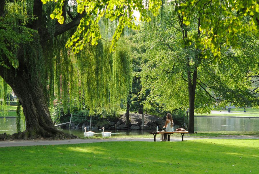 Park