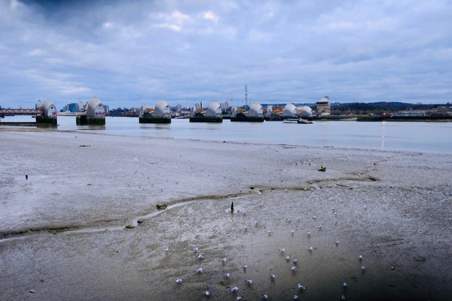 Floods resilience Thames foreshore at low tide, with the Thames Barrier in the background thames barrier,london,united kingdom