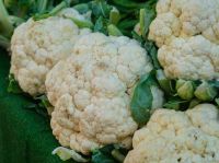 Chouxfleurs cauliflower fresh cauliflower in the market vitamin,season,tasty