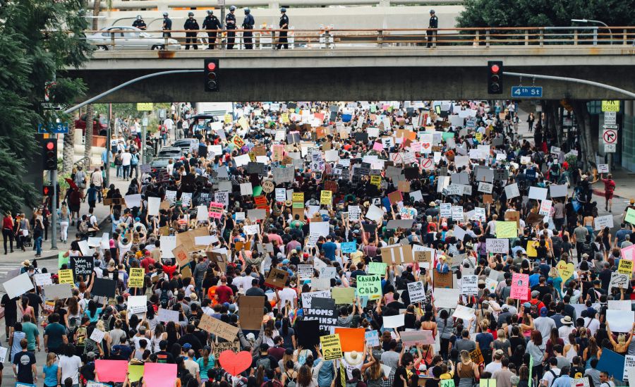 protest Los Angeles Protestors 