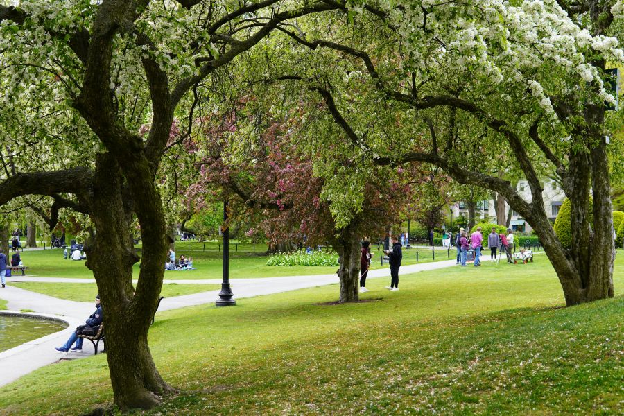 Park Public  