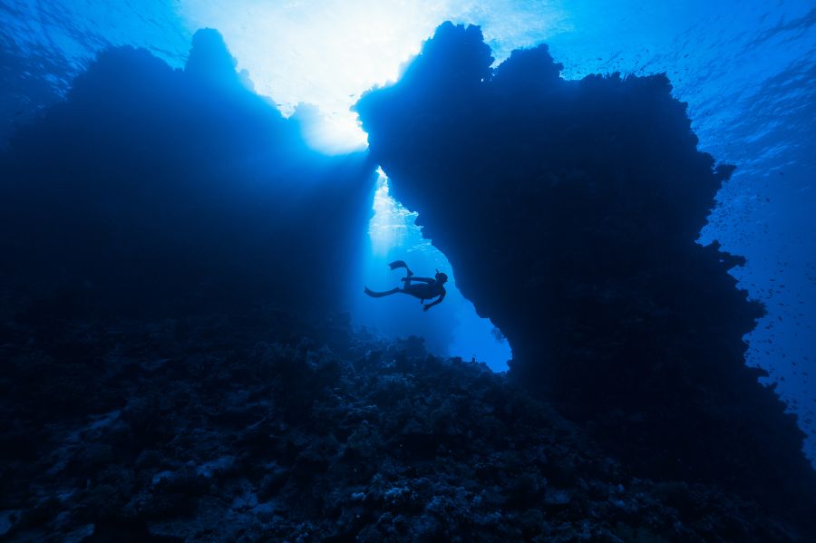 Biodiversity Home to kaleidoscopic-colored coral reefs and an abundance of diverse marine life | Islands of NEOM- NEOM, Saudi Arabia nature,water,saudi arabia
