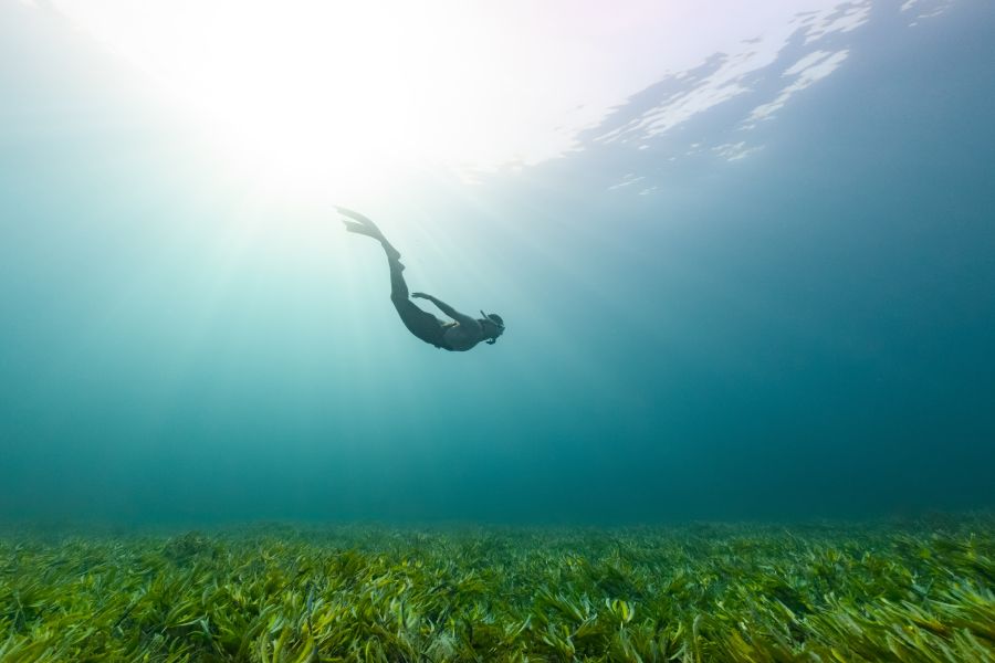 Swimming swimmer Home to kaleidoscopic-colored coral reefs and an abundance of diverse marine life | Islands of NEOM- NEOM, Saudi Arabia saudi arabia,destination,swim