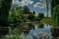 water gardens  