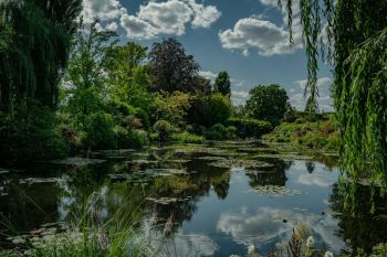 water gardens  