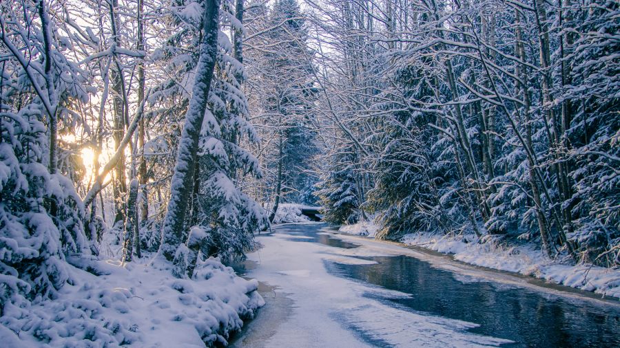 Winter nature  