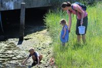 nature activities A family exploring nature and insects 