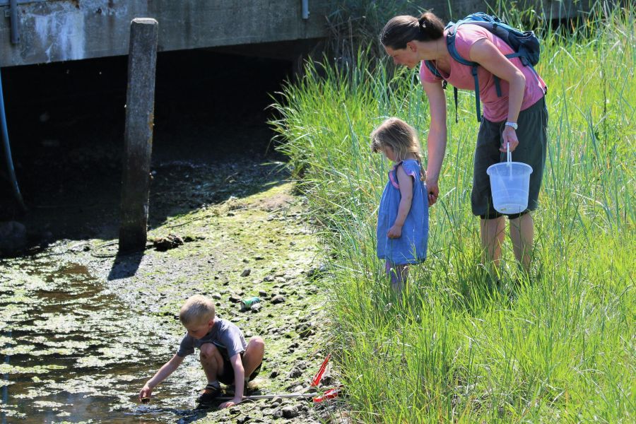 nature activities A family exploring nature and insects 