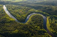 Amazon rainforest  