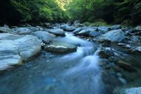 river Rushing Stream 