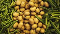potato harvest while in market shopping for vegetables… karnataka 573101,india,malahalli