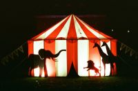 Circus performance  