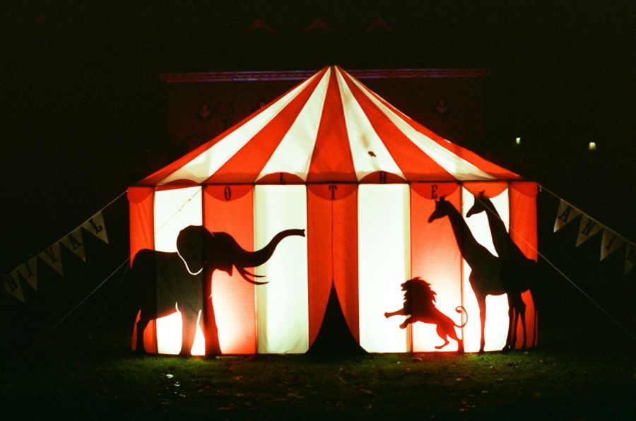 Circus performance  