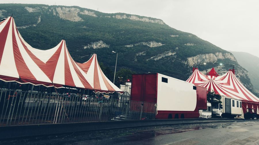 Circus performance  