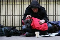 Panhandling begging I was working in London and came across this homeless man on the street.  As I went to take this photograph to raise the plight of the homeless, his dog looked right at me with such sorrowful eyes.  It was then that I noticed the larger dog, curled up beside him.  I went to a local store, bought some dog food and him a BK Meal and drink.  Since then, each year, rather than buying Christmas cards for family and friends, I always donate enough money to give a homeless person a shower, clothes and  homeless,london,uk