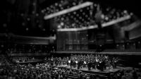 orchestra Food for the soul 