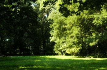 public park