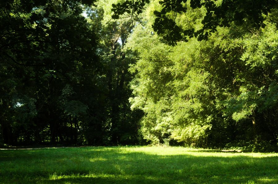 public park  