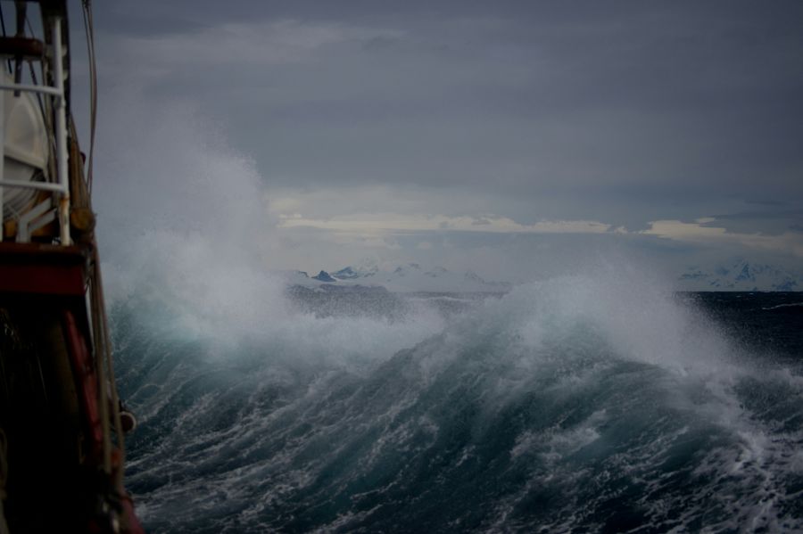 Storm One of the calmer days in the furious fifties ocean live,ocean horizon,ocean crashing